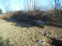 A clear field foremost; uncleared brush behind.