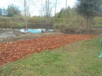 A row of woodchips foremost; a small lake in the background.