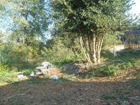 Trees overhang a grassy area enclosing a lawnchair.