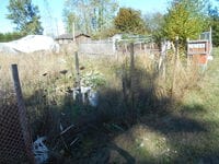 A fenced off area houses overgrown grass and weeds