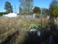 A fenced off area houses overgrown grass and weeds