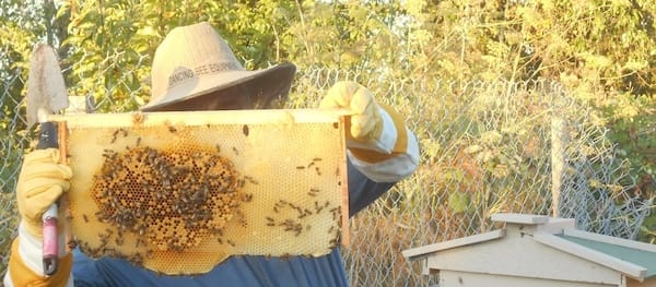 Man holding honeycomb